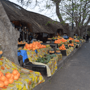 Curio and fruit market in the town.